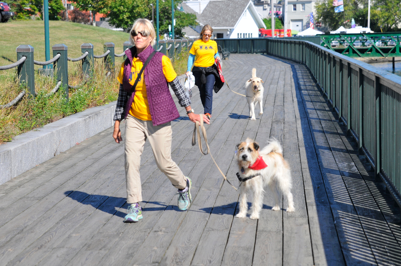 The walk along the Rockland Boardwalk was part of the one-mile dog walk. (Photo by Ron Hawkes)