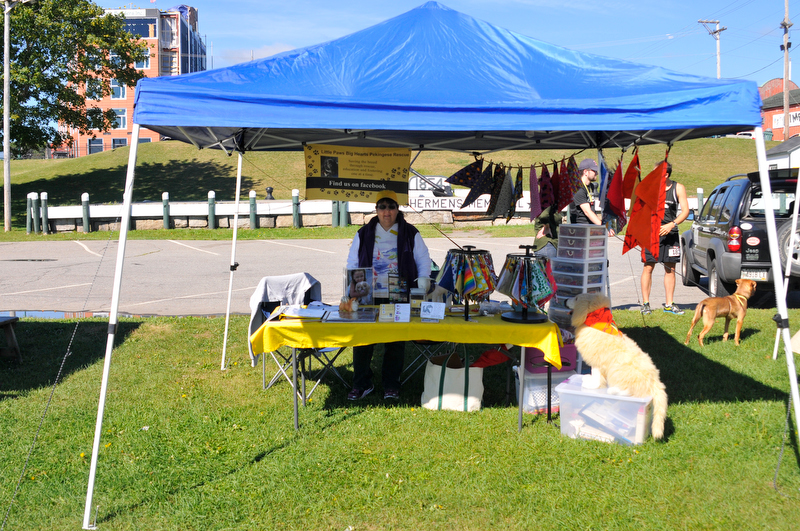 The vendors at the event were knowledgeable people about dogs. How to train them, how to care for them, what to feed them. A lot of information was available. (Photo by Ron Hawkes)