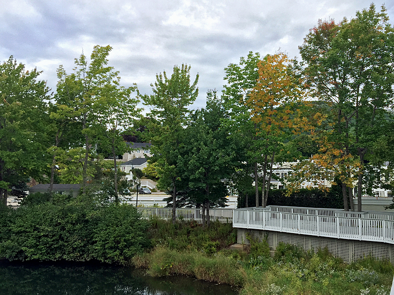 The first signs of the coming fall are appearing in the Midcoast, and cool nights will speed the transformation over the coming weeks. (Photo by Holly S. Edwards)