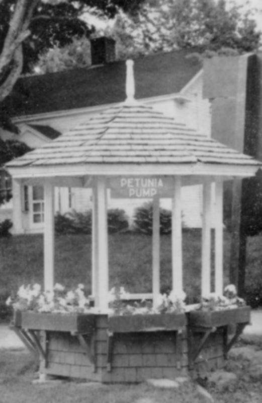 The original Petunia Pump at the intersection of Main Street and Hope Road.
Photo courtesy of Lincolnville Historical Society petunia pump