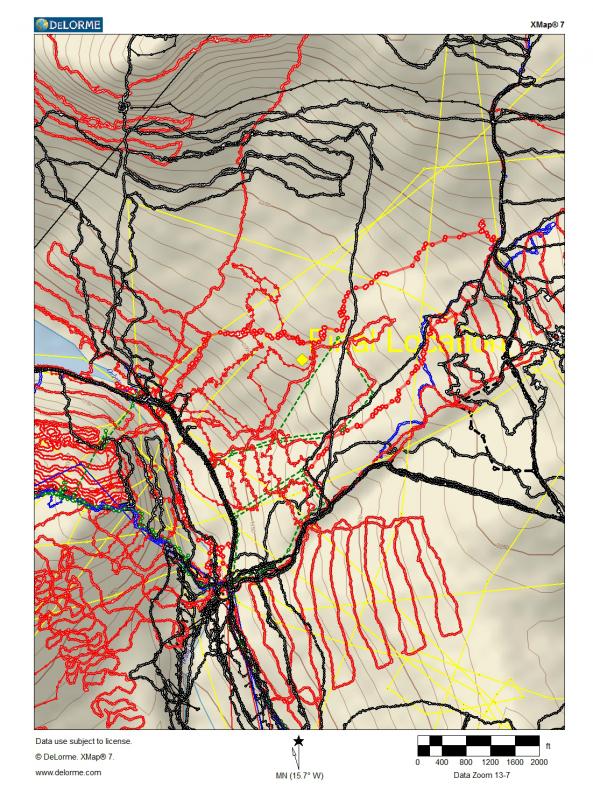 Photo taken October 15 showing line search. 4)