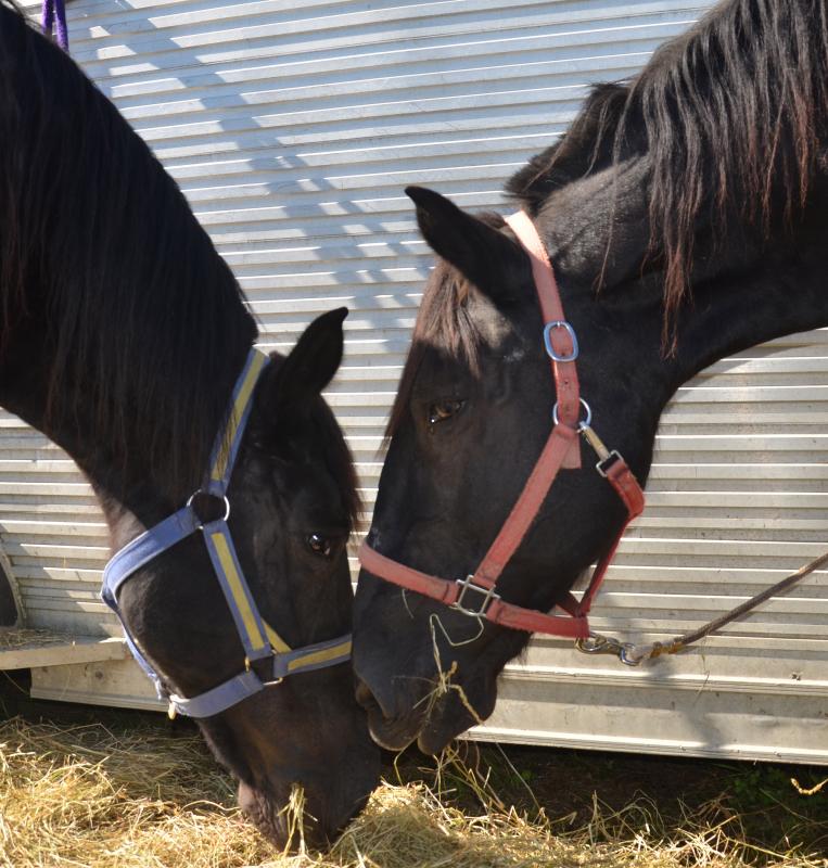 Mother and daughter. (Photo by Lynda Clancy)
