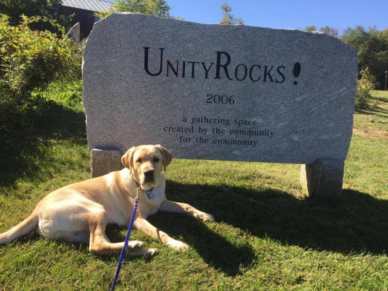 Malcom. (Courtesy Facebook/Guiding Eyes for the Blind at Unity College)