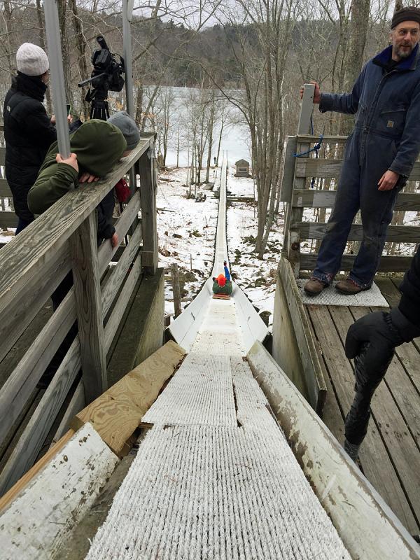 And there they go.... (Photo by Holly S. Edwards)