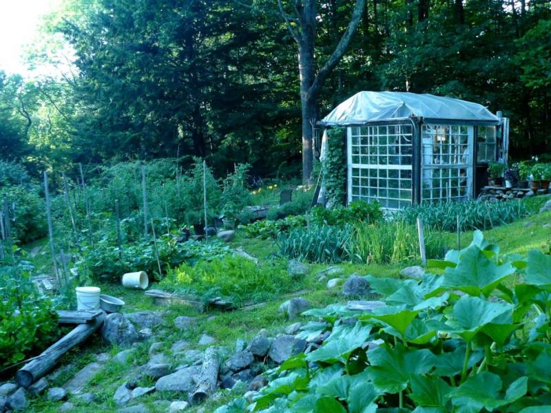 The best gardens are often hidden from view. Photos of one of these secret gardens, Jeff and Arlene Leighton’s, shows a labor of love. This photo was taken on an early evening last August.
Photo by Arlene Leighton jeff’s garden