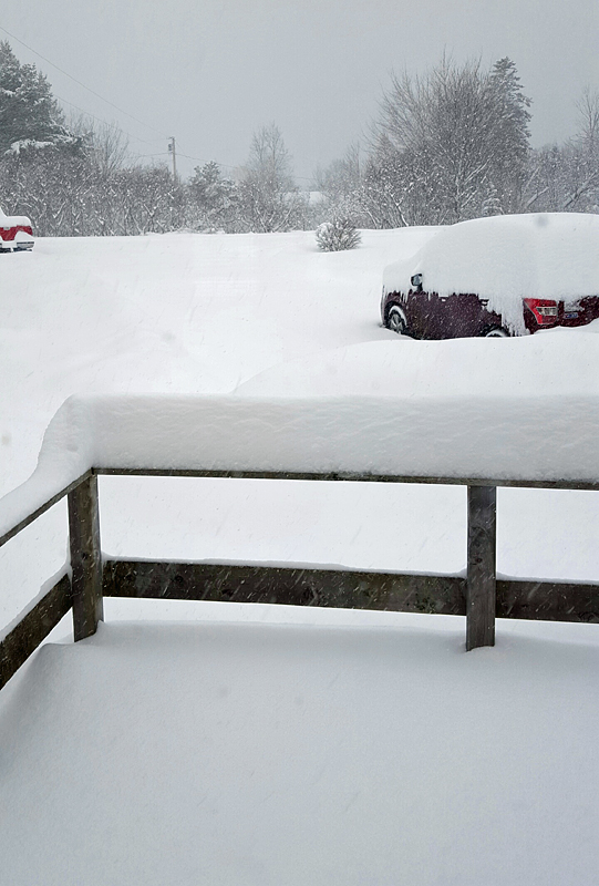 Vinalhaven EMA Director Marc Candage is reporting 15 inches of snow as of 10 a.m. (Courtesy Knox County EMA/Ray Sisk)