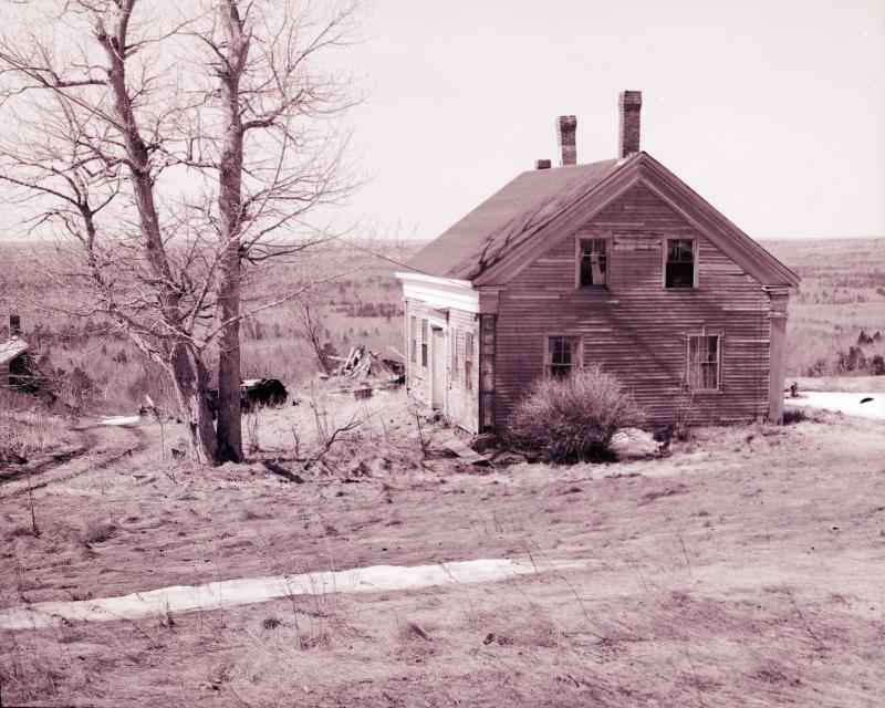 (Photo by Carroll Thayer Berry)