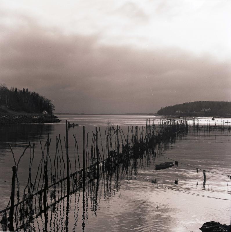 A weir in Rockport Harbor (Photo by Carroll Thayer Berry)