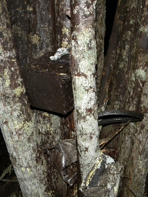 Pieces of Caleb Byrus’ grandmother’s car, which he was driving with two teenage girls as passengers, remained lodged in trees after the crash. (Courtesy Knox County Sheriff’s Office)