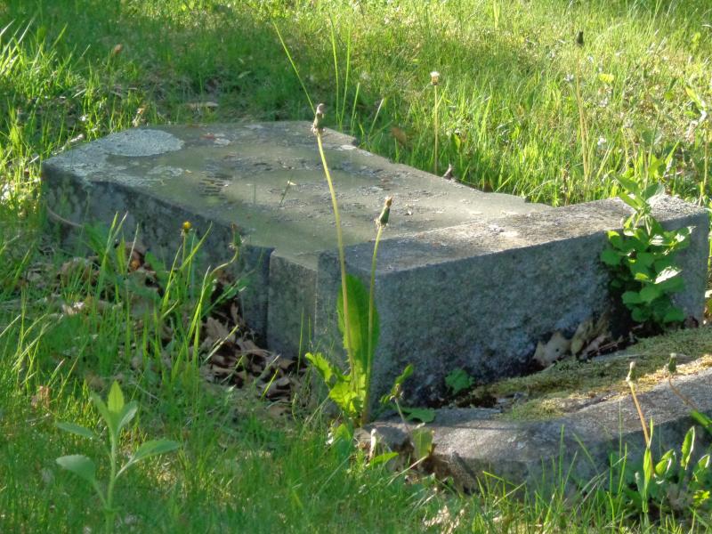 A headstone lies flat against the earth at Rockland’s Tolman Cemetery. (Photo by Sarah Thompson)