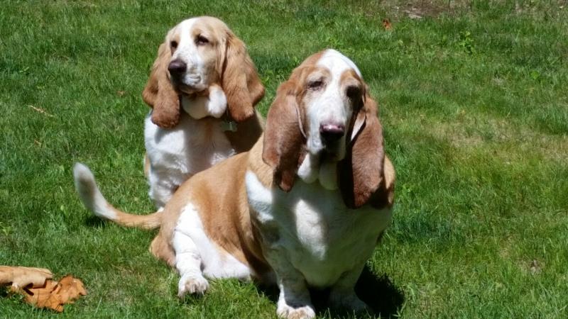 Beatrice is reunited with her older brother, Teddy. (Photo by Sarah Shepherd)
