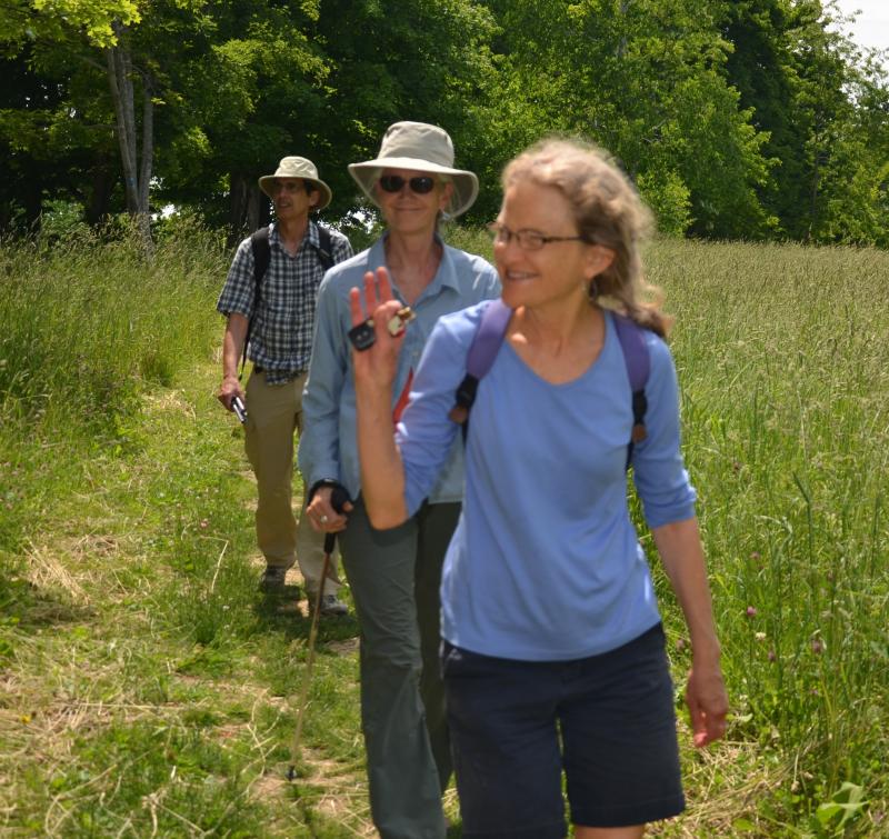 Hikers descend from the Bald Rock Trail, June 21, right into the party gathered at the trail head. (Photo by Lynda Clancy)