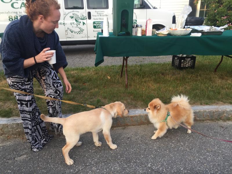 Bryn Gallagher of Portland of team Race Mobiles stands by as Oscar, left, a yellow lab owned by Anne Cressey of Kennebunk, meets Ella, a Pomeranian from Gorham who was at the Water Street stop with owner Larry Dempsey. SUSAN JOHNS/Wiscasset Newspaper
