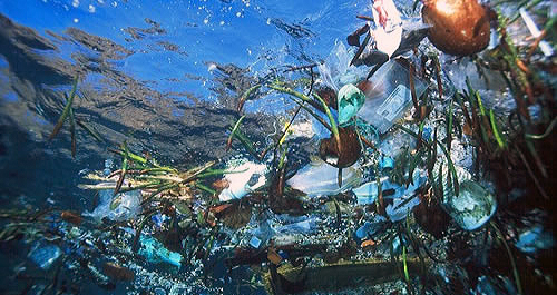 (Photo courtesy Surfrider Foundation)