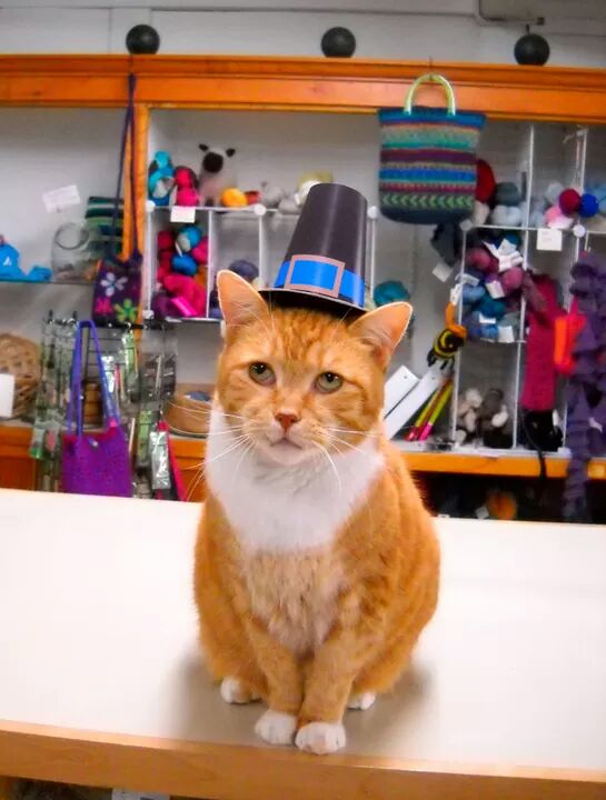 Dennis had a special wardrobe to celebrate the holidays. Here he is modeling his Pilgrim hat just in time for a Thanksgiving holiday. (Photo by Stacey Warner)