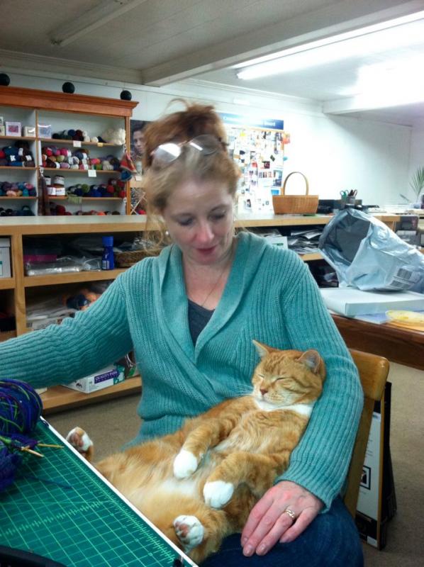 Dennis always enjoyed taking a nap on Stacey’s lap. (Photo by Stacey Warner)