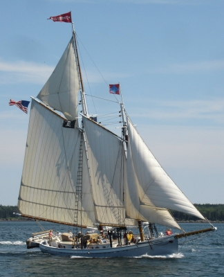 Timberwind