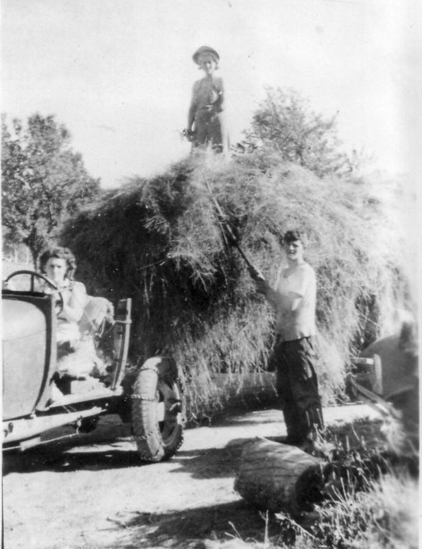 The Hardy siblings bring in the hay, Dot driving.
Photo courtesy of Lincolnville Historical Society haying