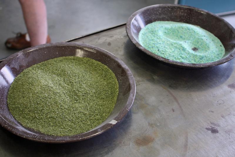 Pans of frit, olive green and celadon, selected earlier for the the day’s project, that will be used to create alternating colored stripes and lip wraps on the set of six drinking glasses being made. (Photo by Holly S. Edwards)