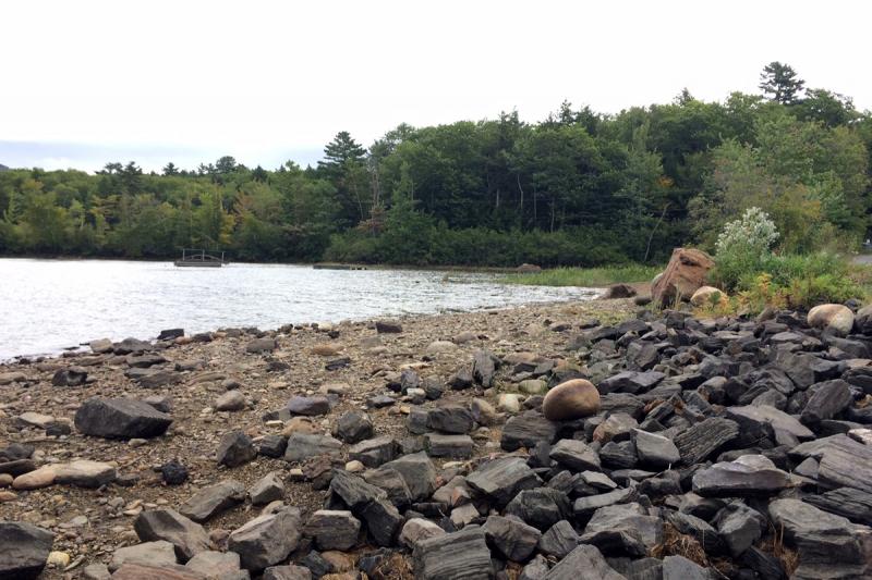 The shoreline at Bog Bridge, off Route 105 in Camden, is not usually seen like it is in this photo taken Sept. 23. (Photo by Holly S. Edwards)