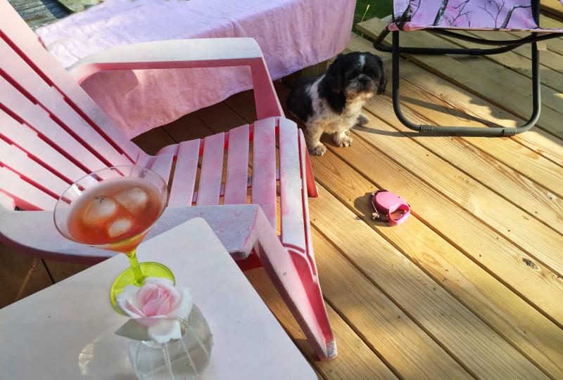 A before dinner manhattan on the deck, with pink accessories all around. SUZI THAYER/Boothbay Register