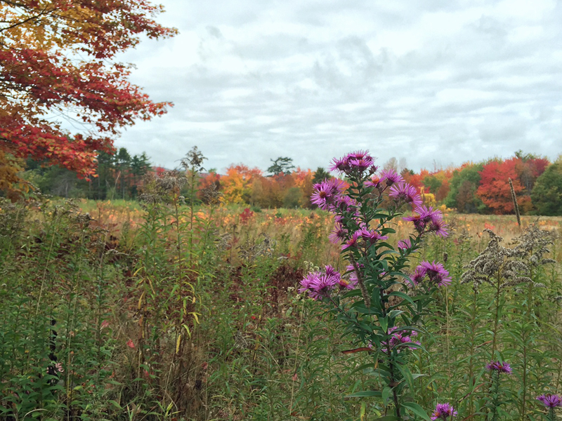 (Photo by Holly S. Edwards)