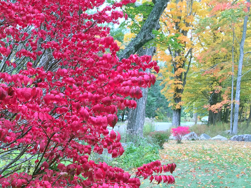(Photo by Holly S. Edwards)