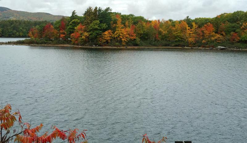 The view across Megunticook Lake. (Photo by Holly S. Edwards)