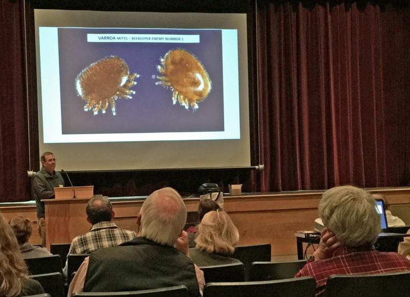 Lincoln Sennett talks about his work trying to manage and minimize varroa mite numbers in his honeybee hives. (Photo by Holly S. Edwards)