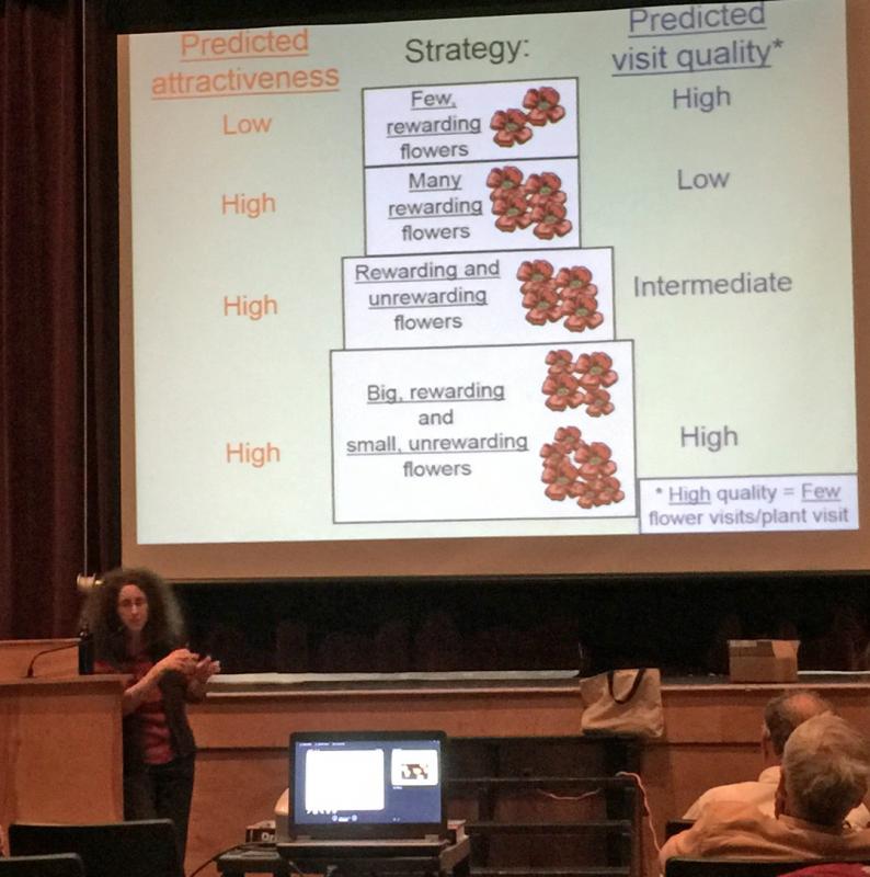 Dr. Carla Essenberg. (Photo by Holly S. Edwards)