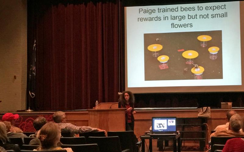 Dr. Carla Essenberg. (Photo by Holly S. Edwards)