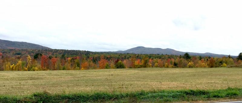 Driving along Route 52, north of Lincolnville Center, this field offers a colorful palette across both the trees in the foreground and those on the mountains in the background. (Photo by Holly S. Edwards)