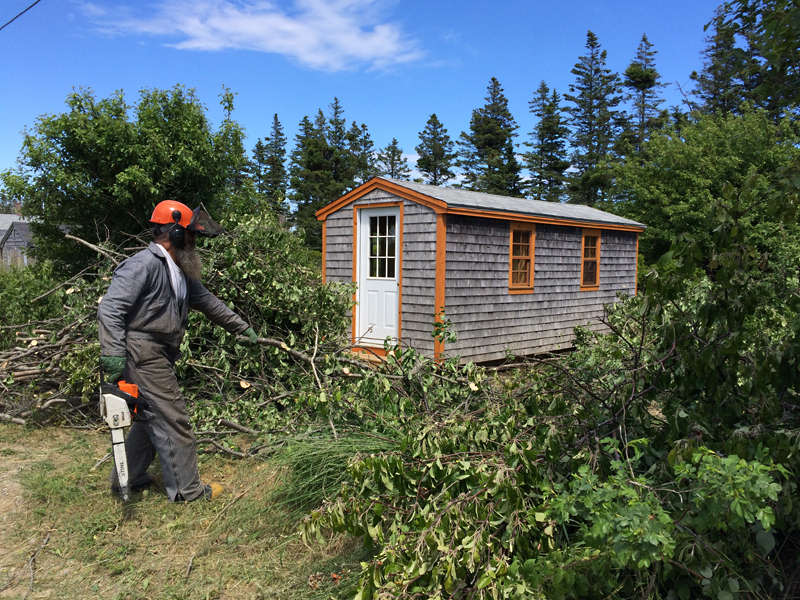 Robert works the chainsaw and chipper to clear around the new library building.