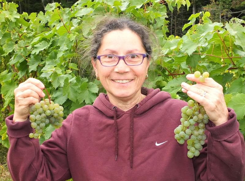 Maria Devery of Owls Heads shows off her prize after snipping them from the vine.