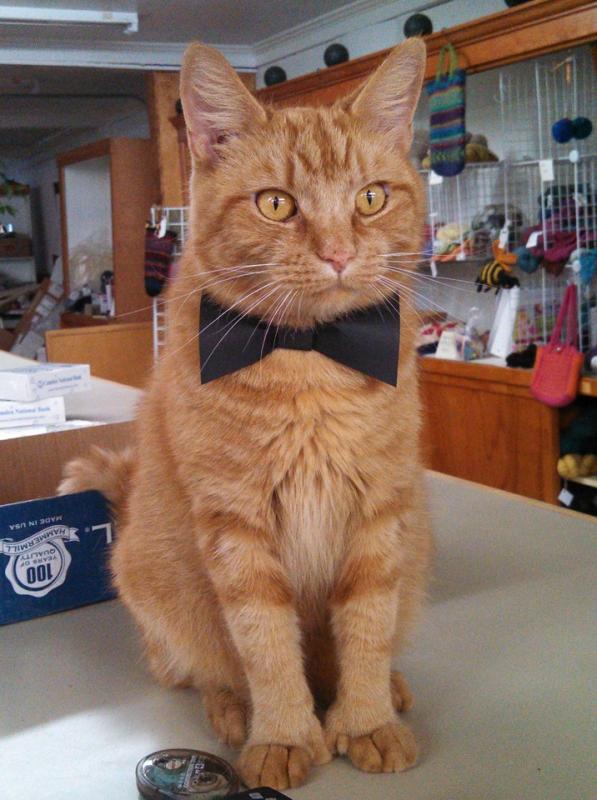 The name is Bond...James Bond (Photo and caption by Stacey Warner)