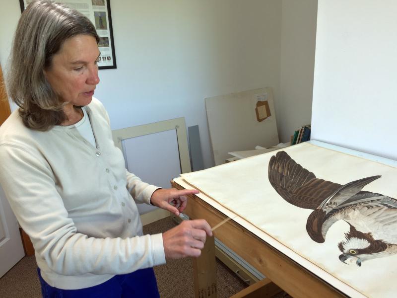 Terry Marsh at work. SUZI THAYER/Boothbay Register