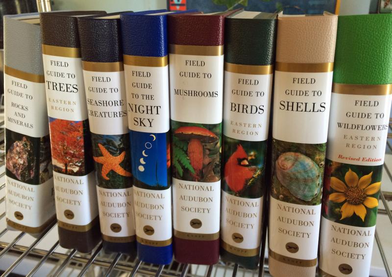 ‘Volunteers inspect, make decisions about and shelve donated books when they find some spare time. Borrowed books are expected back, but are lent without a stated due date.’ (Photos by Eva Murray)