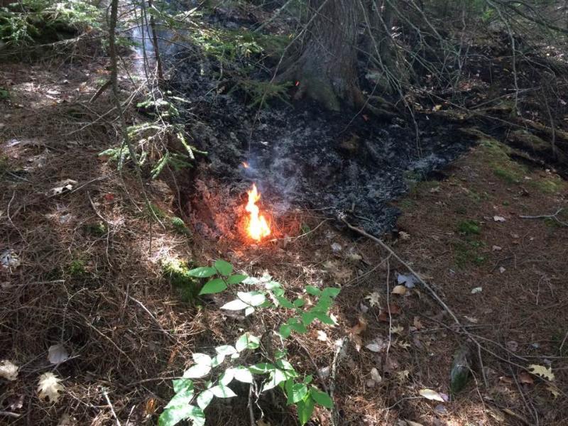 A small amount of flames was found down on Peasetown Road in Hope late Wednesday morning, Oct. 5, the result of a smoldering fire caused by a lightning strike to a tree nearly four weeks earlier. (Courtesy Hope Fire Department)