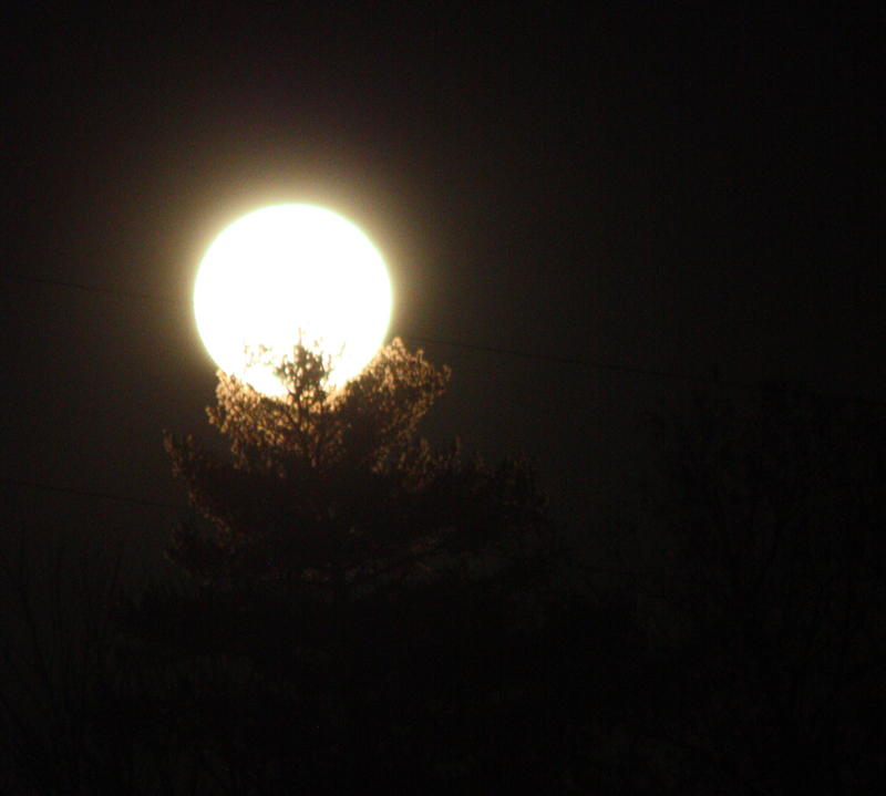 The supermoon, photographed without a tripod, on Route 52 in Lincolnville Nov. 14. (Photo by Holly S. Edwards)