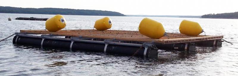 Surface mussel raft. Courtesy of Carter Newell
