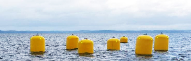 Buoys mark an underwater mussel raft. Courtesy of Carter Newell