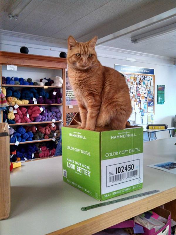 “The king of the mountain!” (Photo and caption by Stacey Warner)