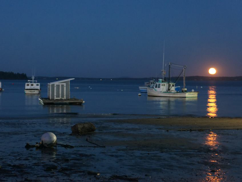 The Nov. 14 supermoon. (Photo by Aaron Crossman)