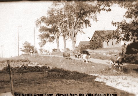 Nettie Greer’s farm on Masalin Road. Who remembers where this was?
Photo courtesy Jackie Watts nettie greer