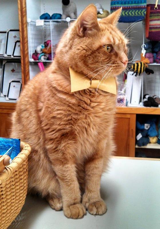 James is sporting simple and dignified attire for Thanksgiving. (Photo by Stacey Warner)
