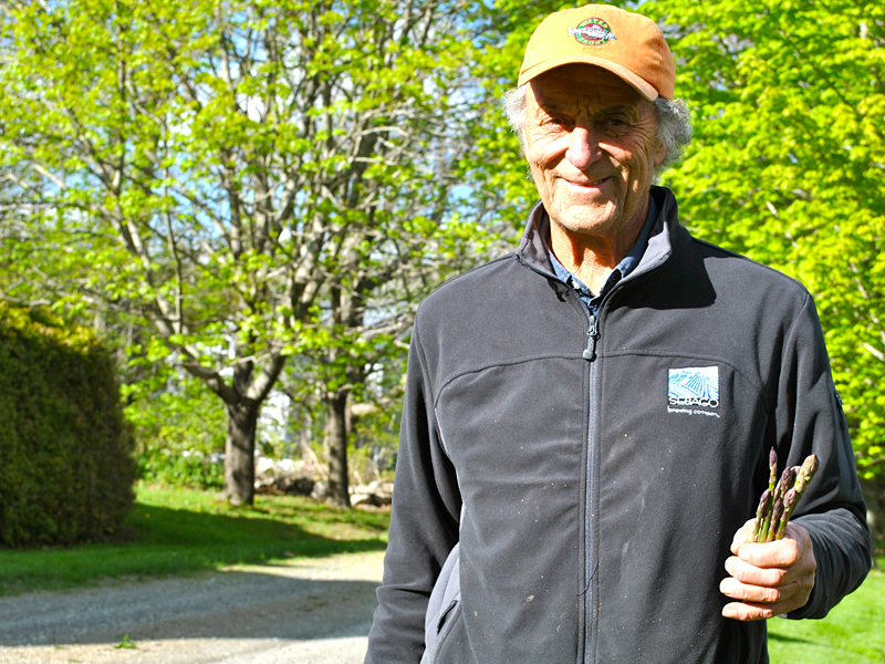 Camden resident Leonard Lookner with freshly picked asparagus from an asparagus patch at his beloved Camden farm on Melvin Heights Road. (Photo by Jenna Lookner)