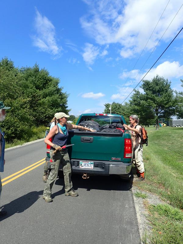 Photo courtesy of the Maine Natural Areas Program, Maine Dept. of Agriculture, Conservation and Forestry