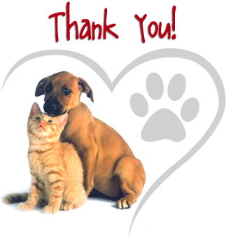 pets shelter