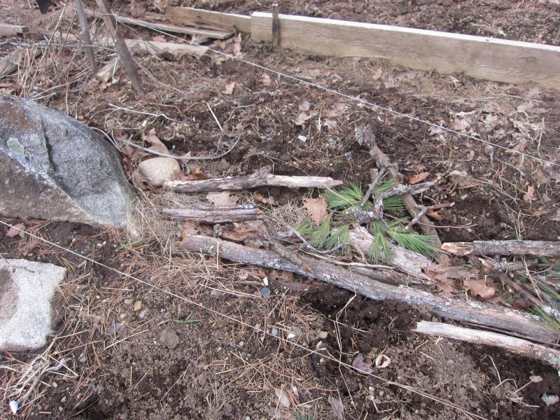 Piling dead sticks and branches in the very place you plan to plant vegetables seems counter-intuive (or just plain crazy) doesn’t it? But not to the adventurous gardener willing to try anything new. “You didn’t see the old-timers doing it”, was my husband’s favorite comeback to such nonsense. Well, we’ll see.
Photo by Diane O’Brien hugelkultur