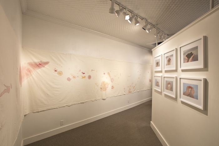 Her exhibition at Maine Farmland Trust Gallery. (Photo by Heather Lyon)
